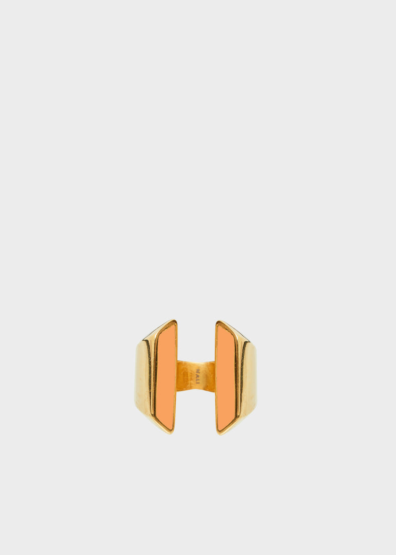MEAN0221-2